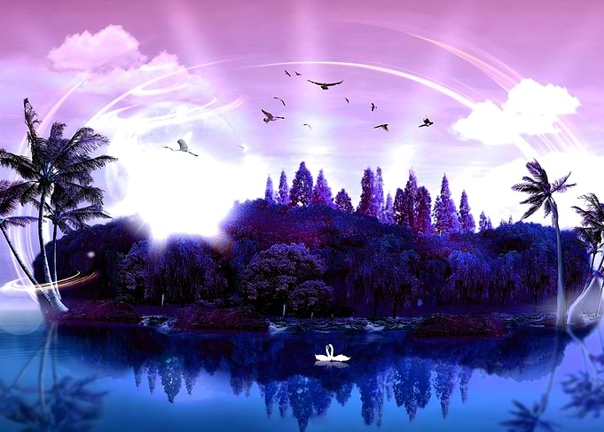 Island of swans
