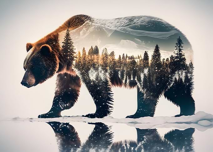 Bear Double Exposure Wild