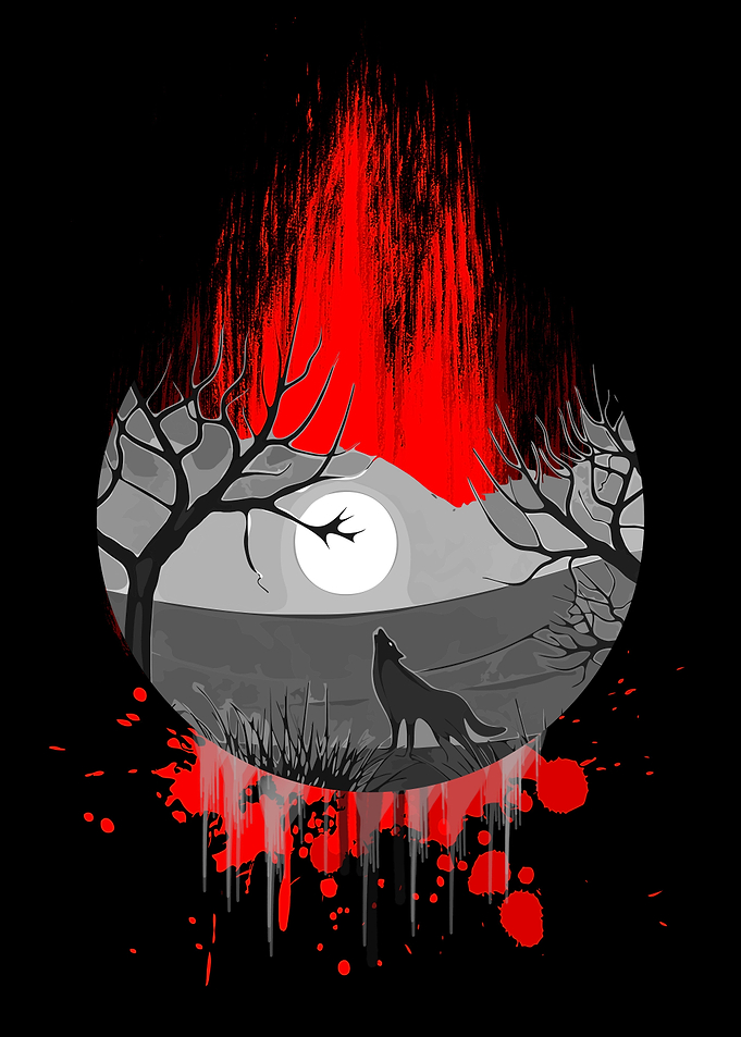Wolf Animals 9
