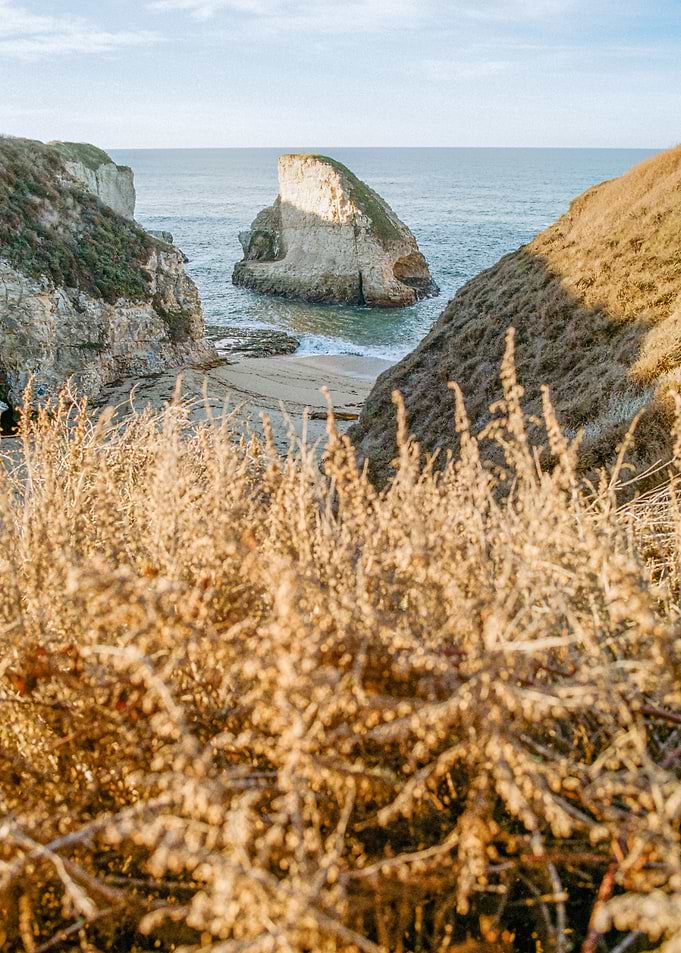 Shark Fin Cove California