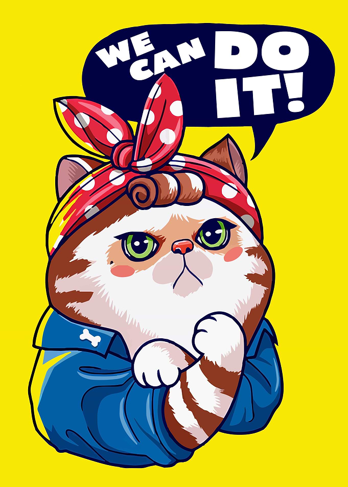 We can do it Funny Cat