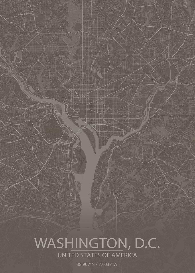 Washington DC GreyBrownMap