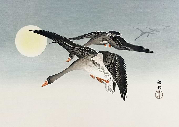 Birds at Full Moon