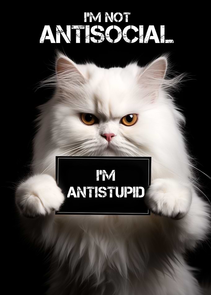 Antistupid Cute Cat