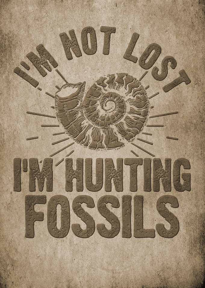 Not lost hunting fossils