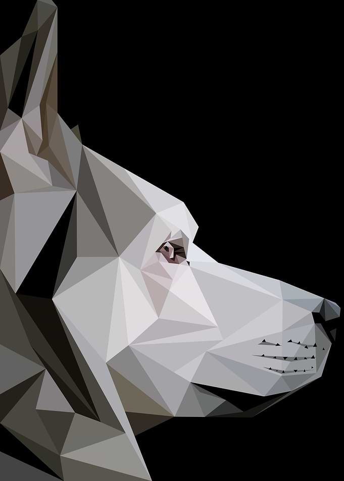 Husky Dog Low Poly