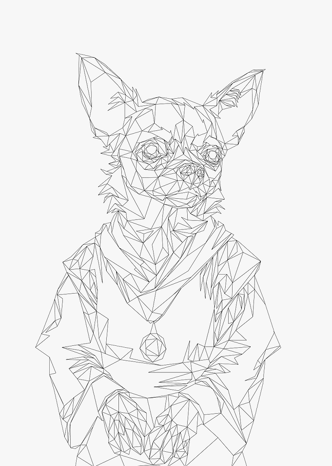 Lowpoly Wireframe