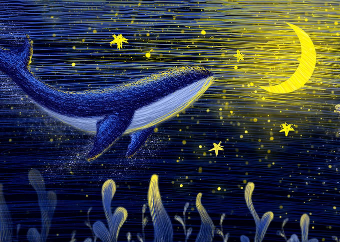 The Sea Moon