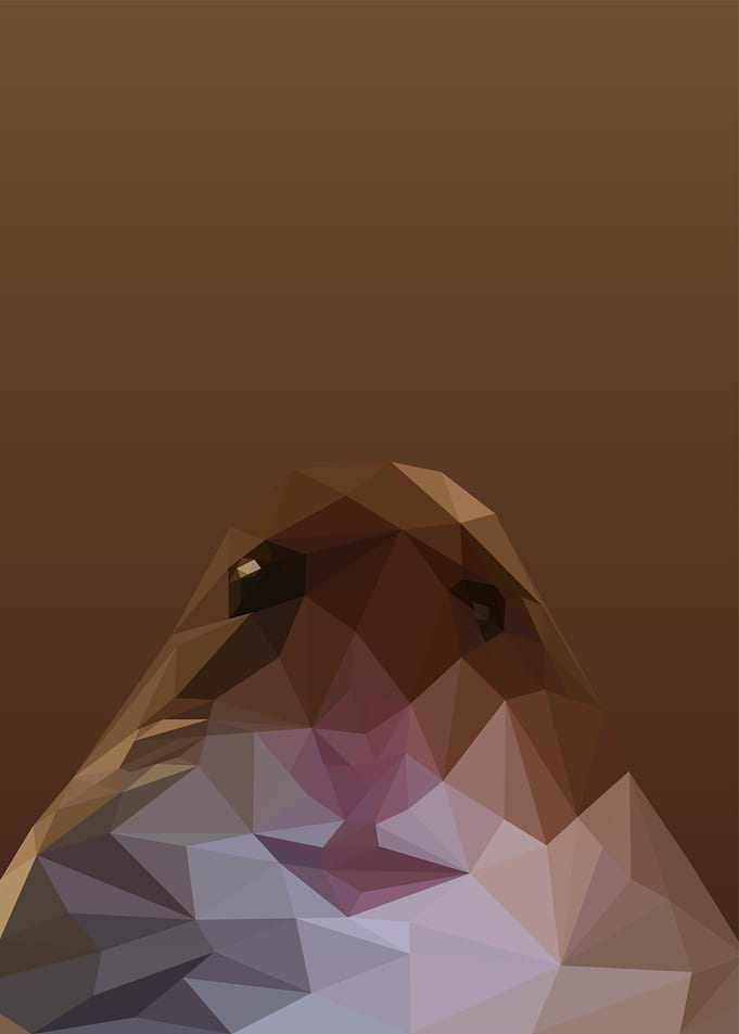 hamster meme