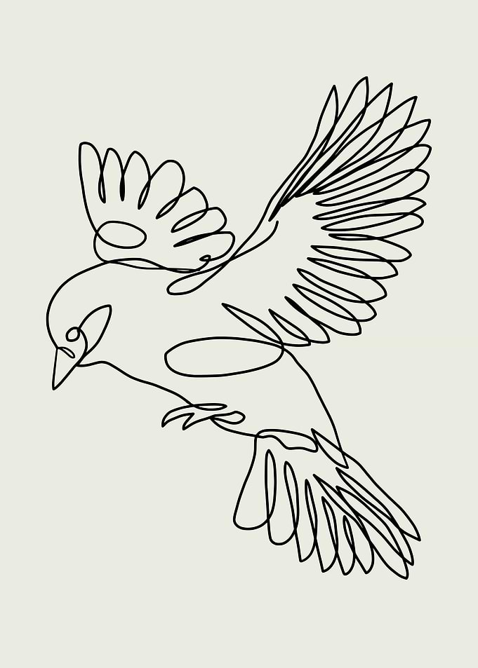 Line Art Finch Boho Bird
