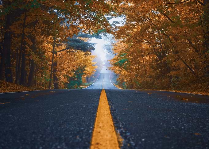 Autumn Road