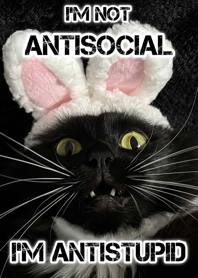 Black Cat Antustupid