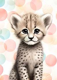 Cheetah cub