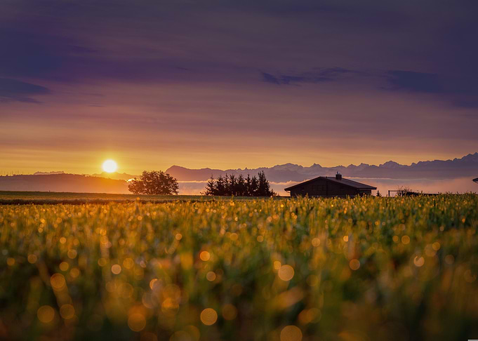 Sunrise Cabin