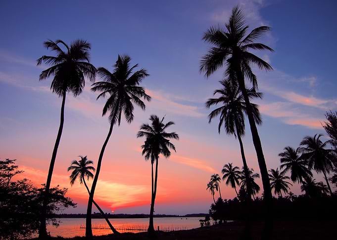 Tropical Twilight