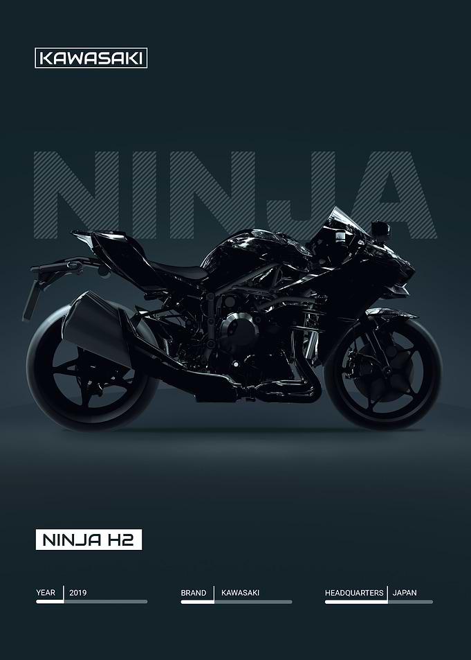 Kawasaki Ninja H2 Bike