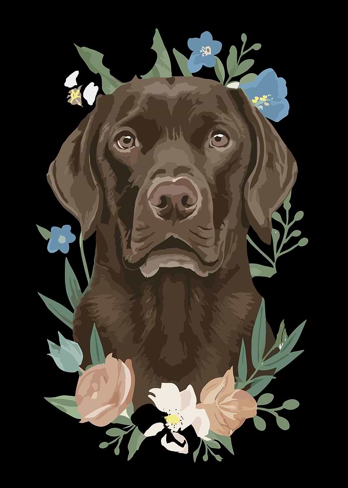Chocolate Retriever Floral