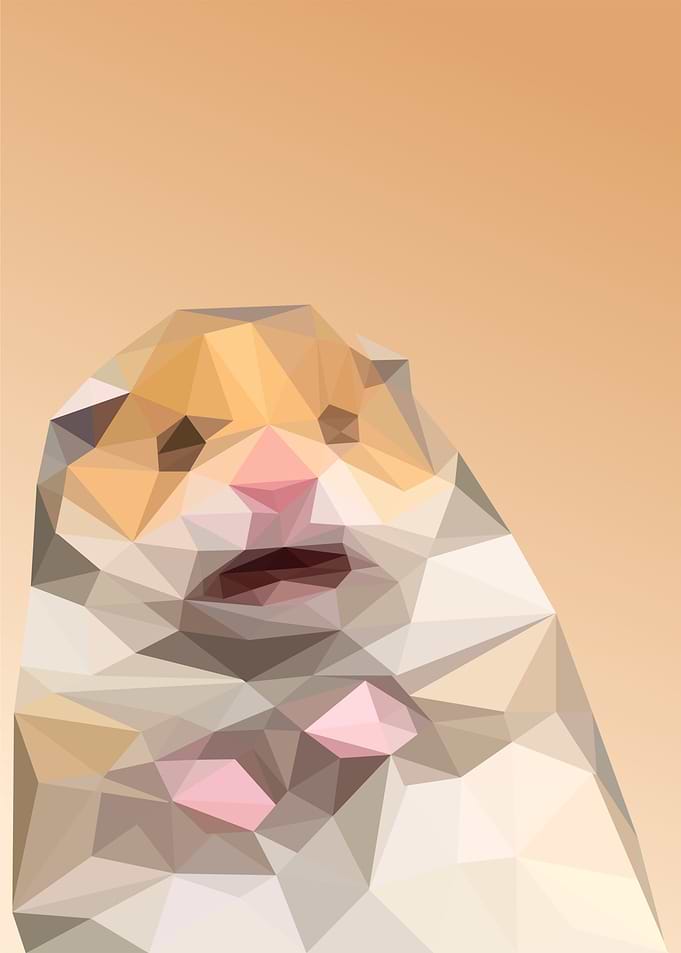 scared hamster meme
