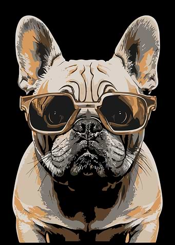 Charming Pug Companions