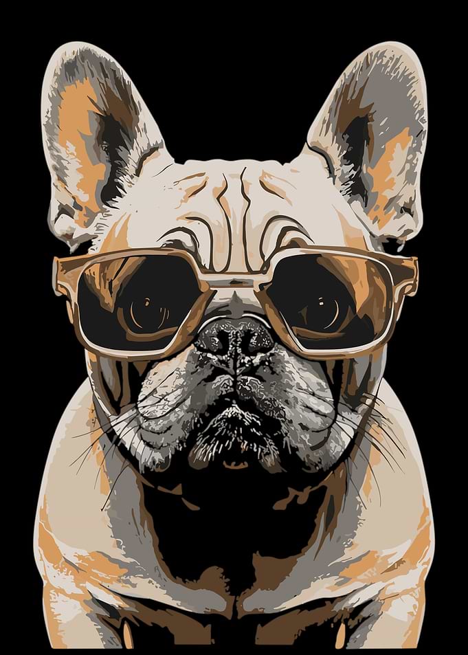 Charming Pug Companions