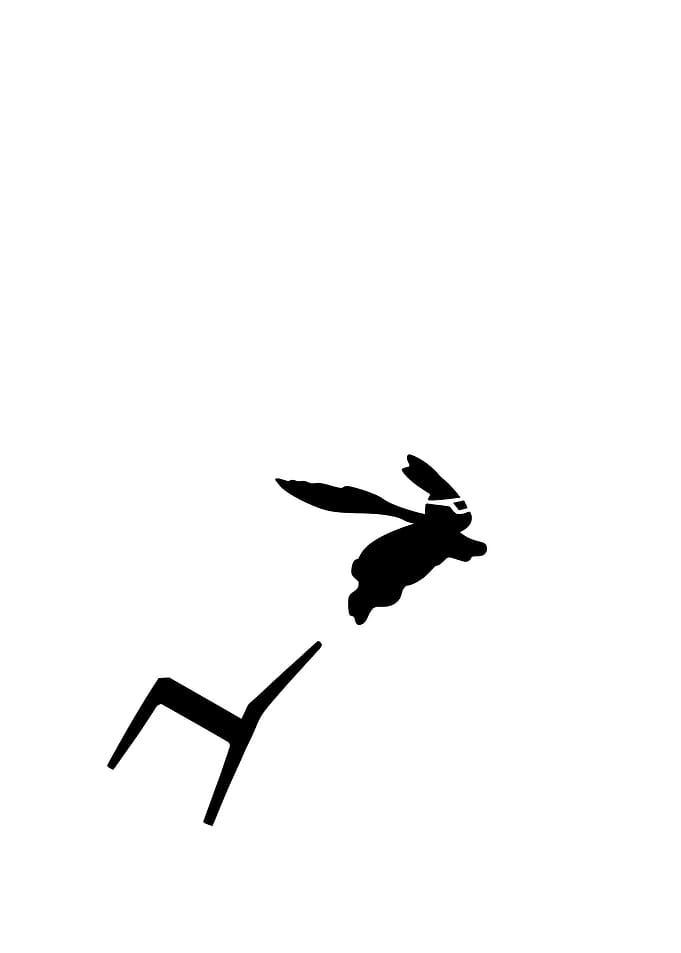 Super hero rabbit