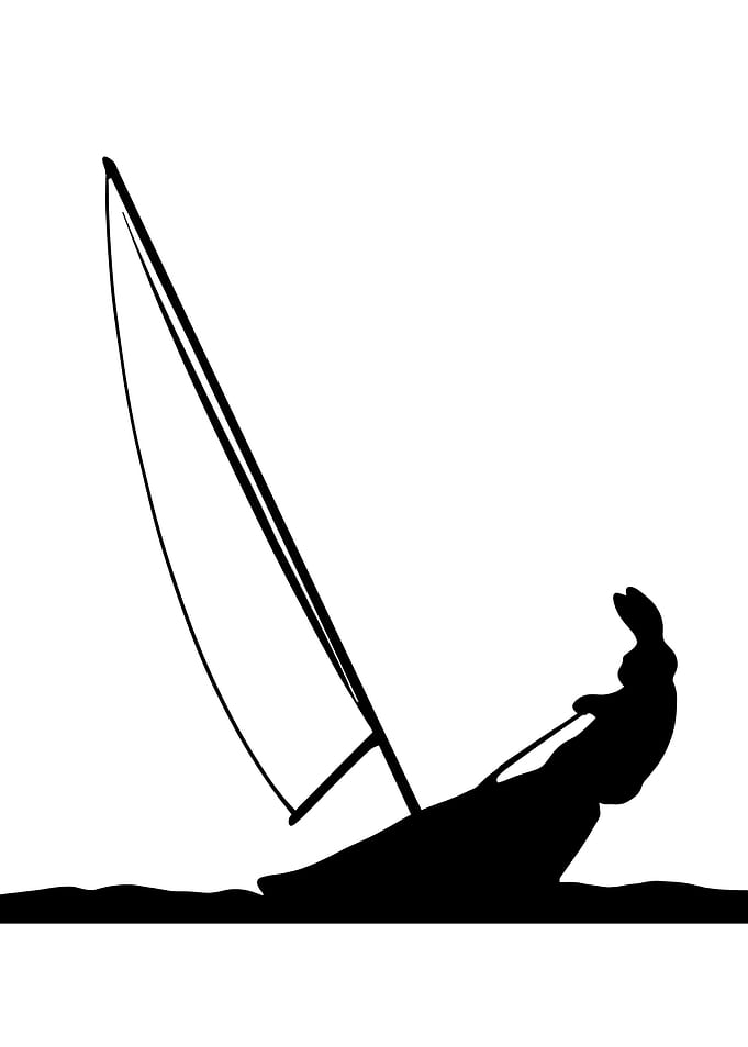 Sailong rabbit