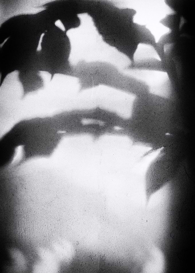 MISTERY