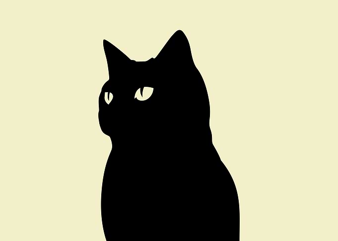 Black Cat Landsape