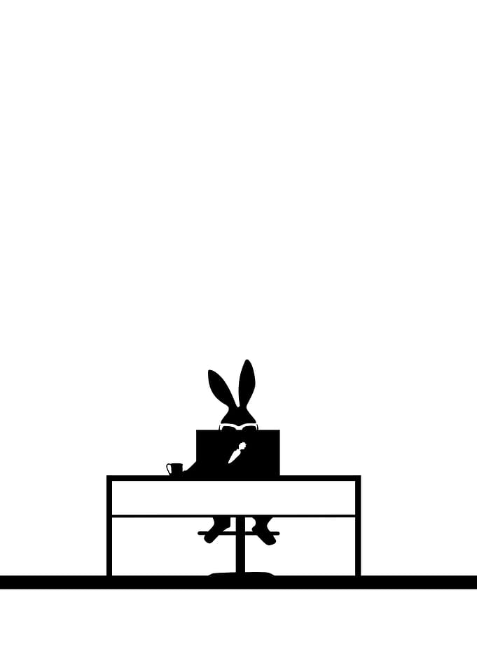 Work rabbit