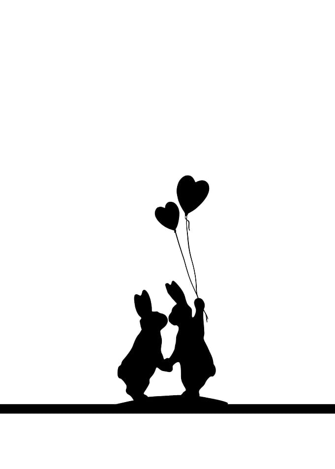 Lovestruck rabbit
