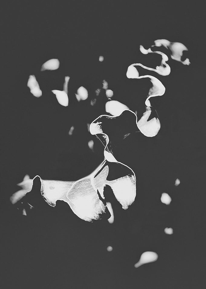 MICRO WORLD