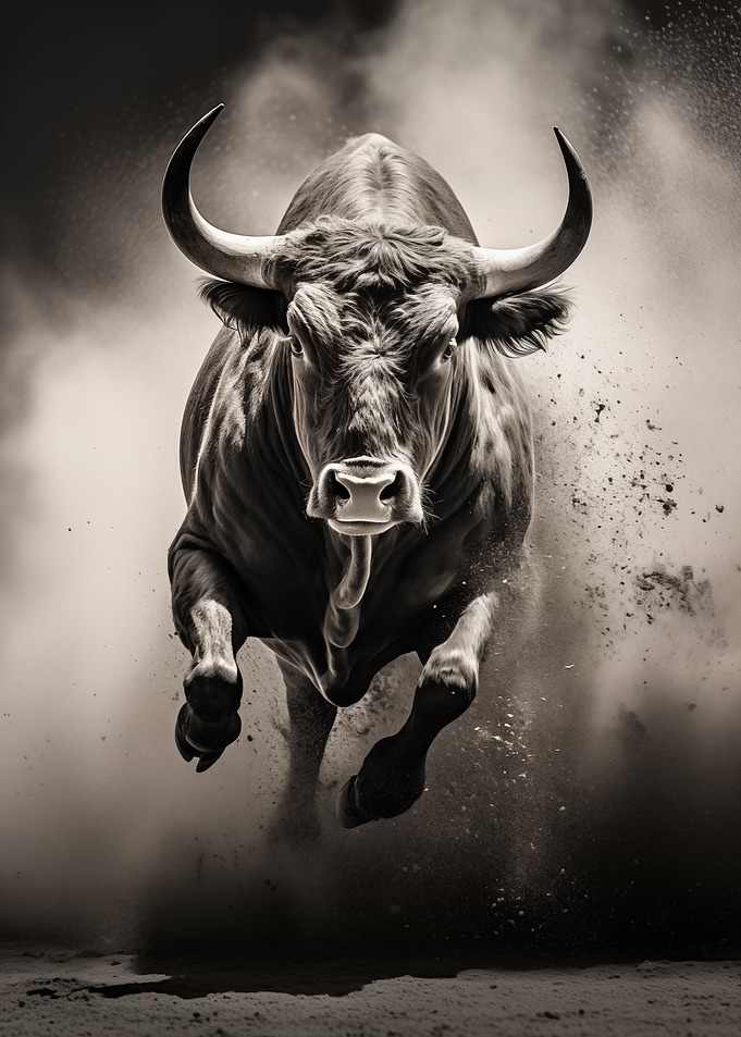 Bull Black