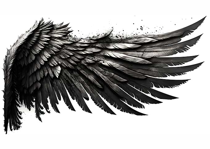 Graceful Wing