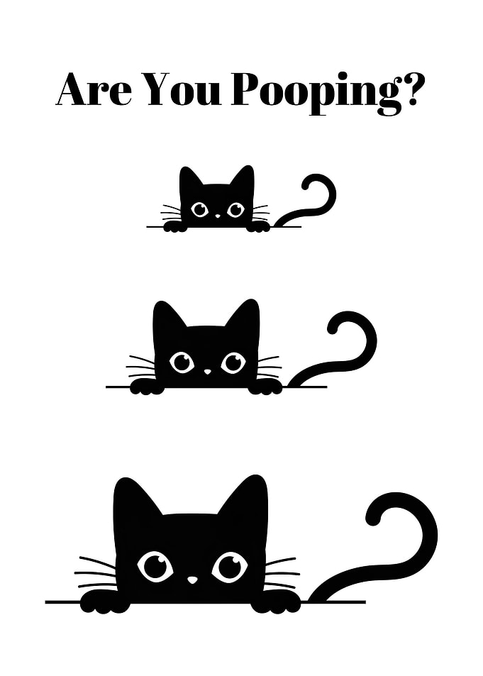 Cat Are You Pooping