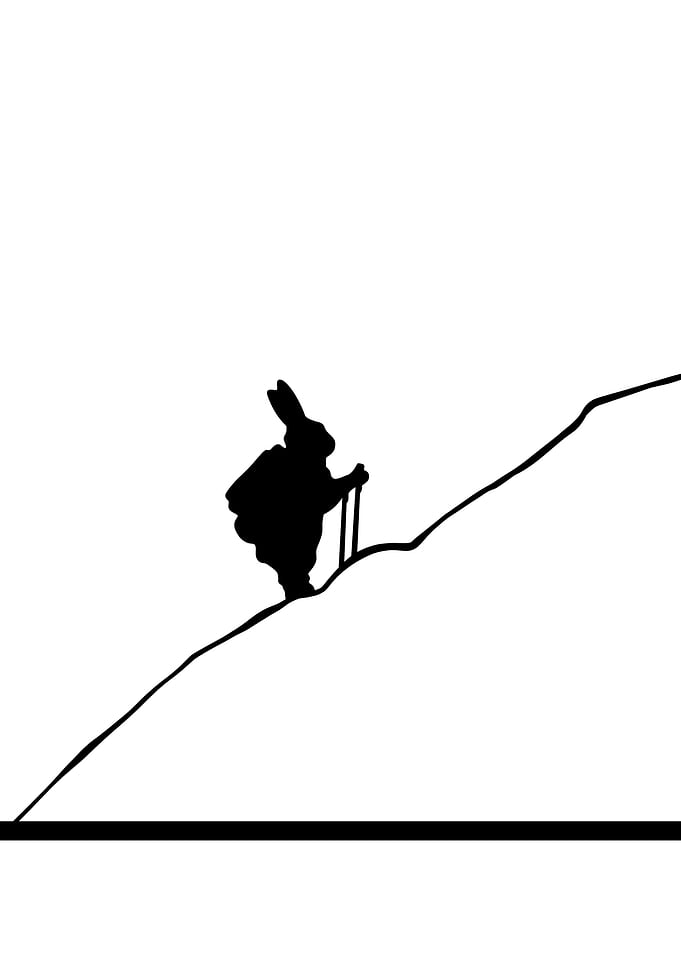 Hiking Rabbit