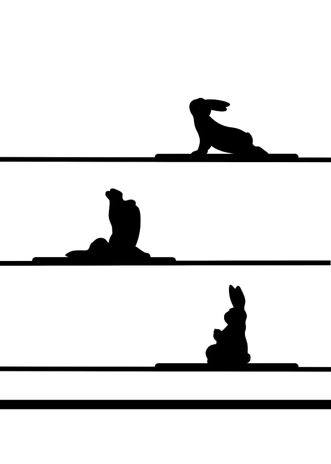 Yoga rabbit