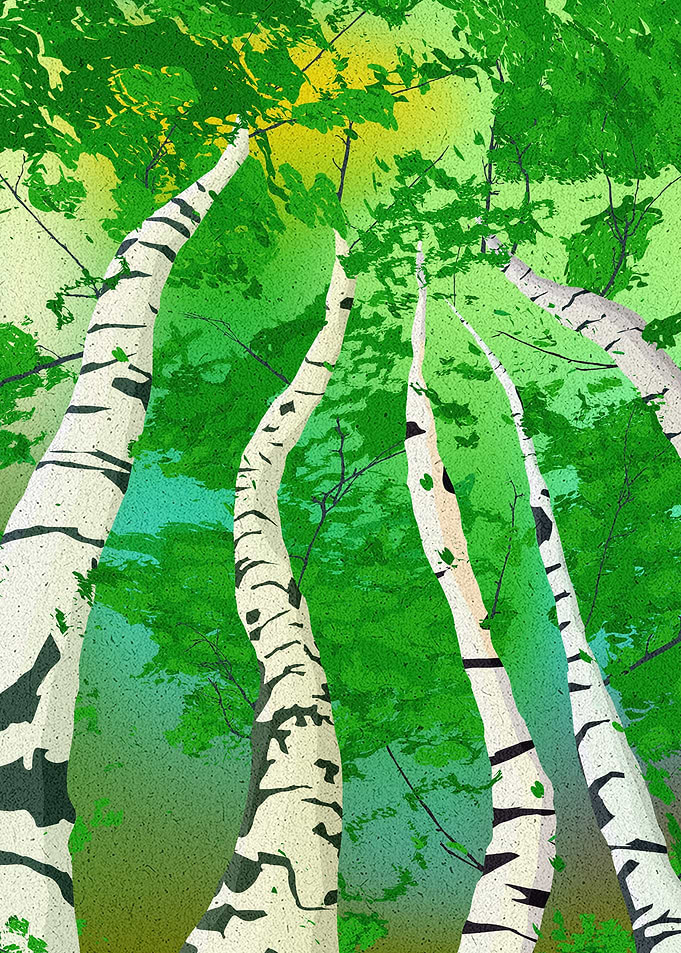 Birchwoods