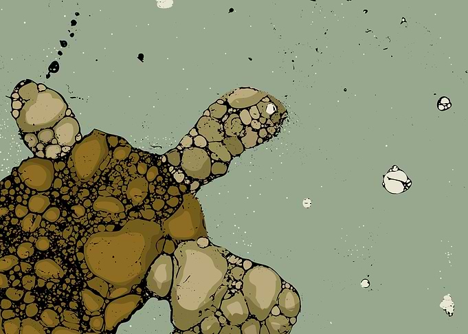 Turtle art