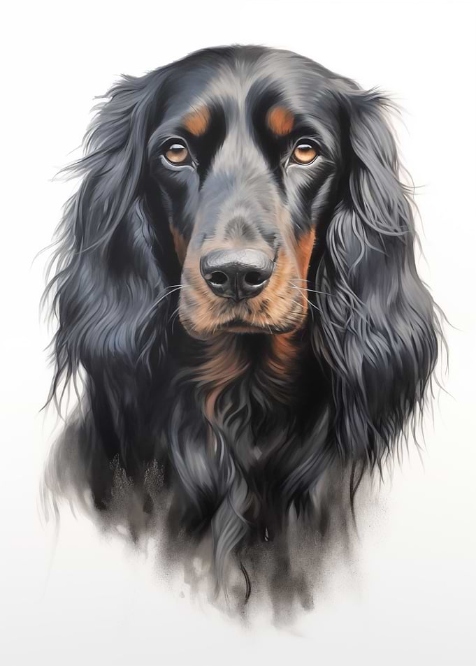 Gordon setter dog