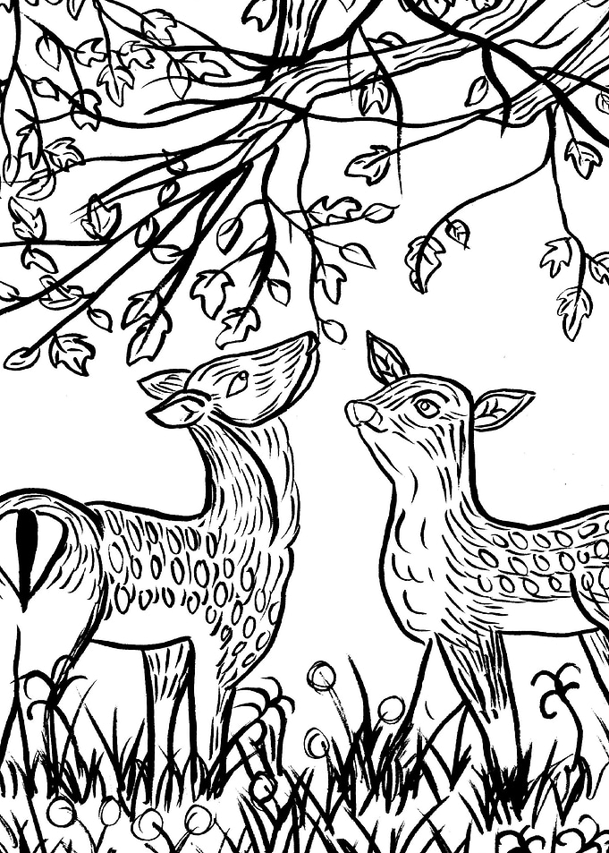 Deer Of Spring