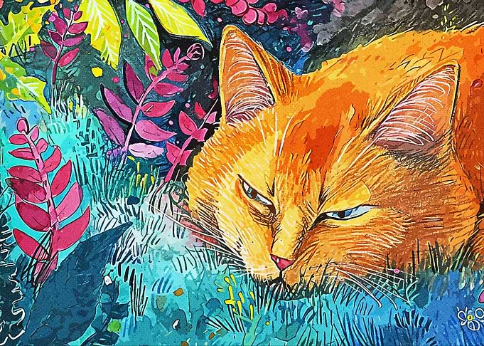 Orange Cat Vintage