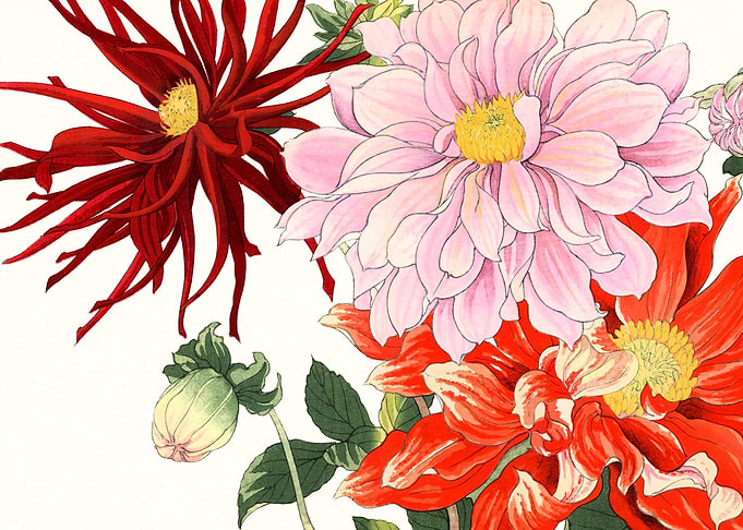 Dahlia and others flowers