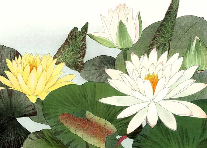 Lotus Art Flowers