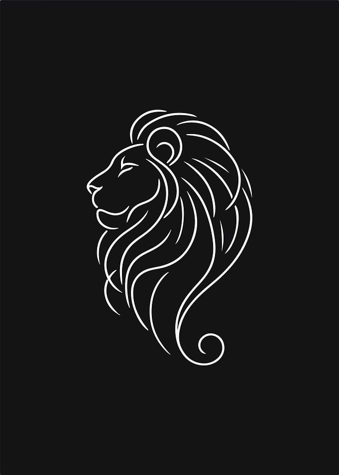 Lion Line Art