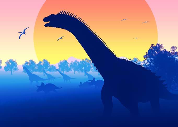 Brontosaurus dinosaur