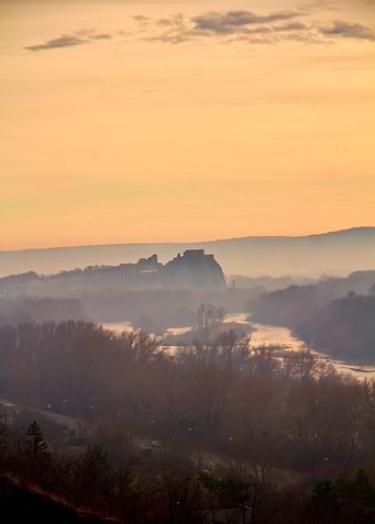 Misty landscape