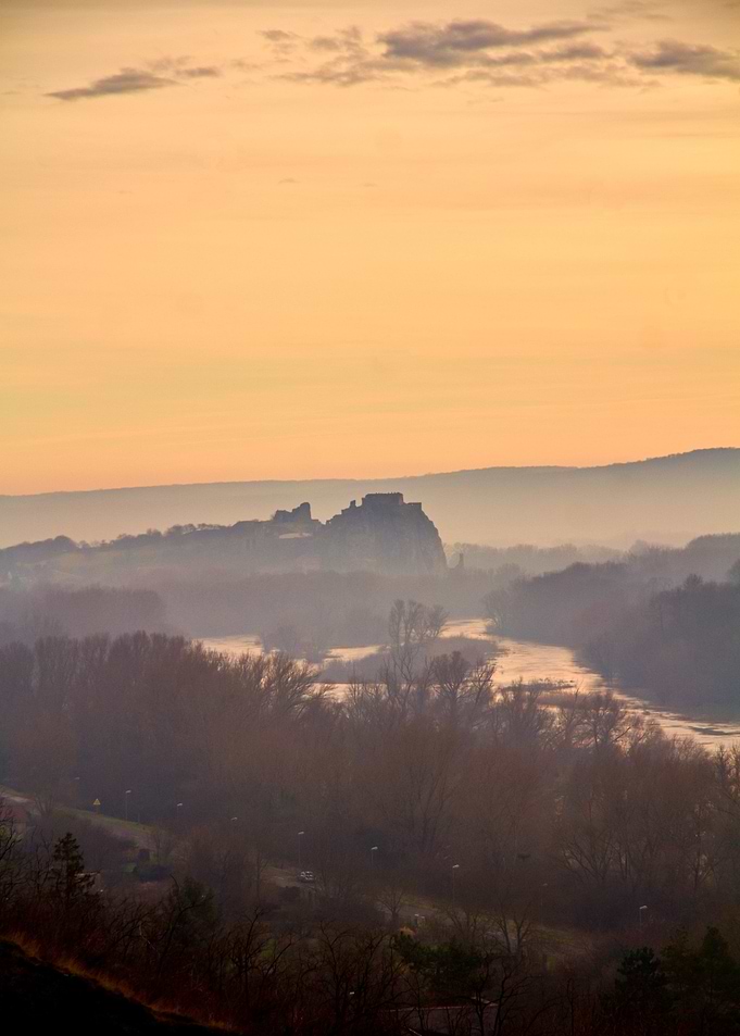 Misty landscape