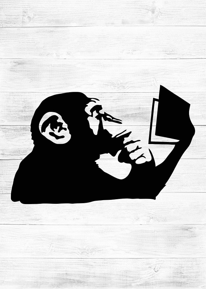 monkey reading