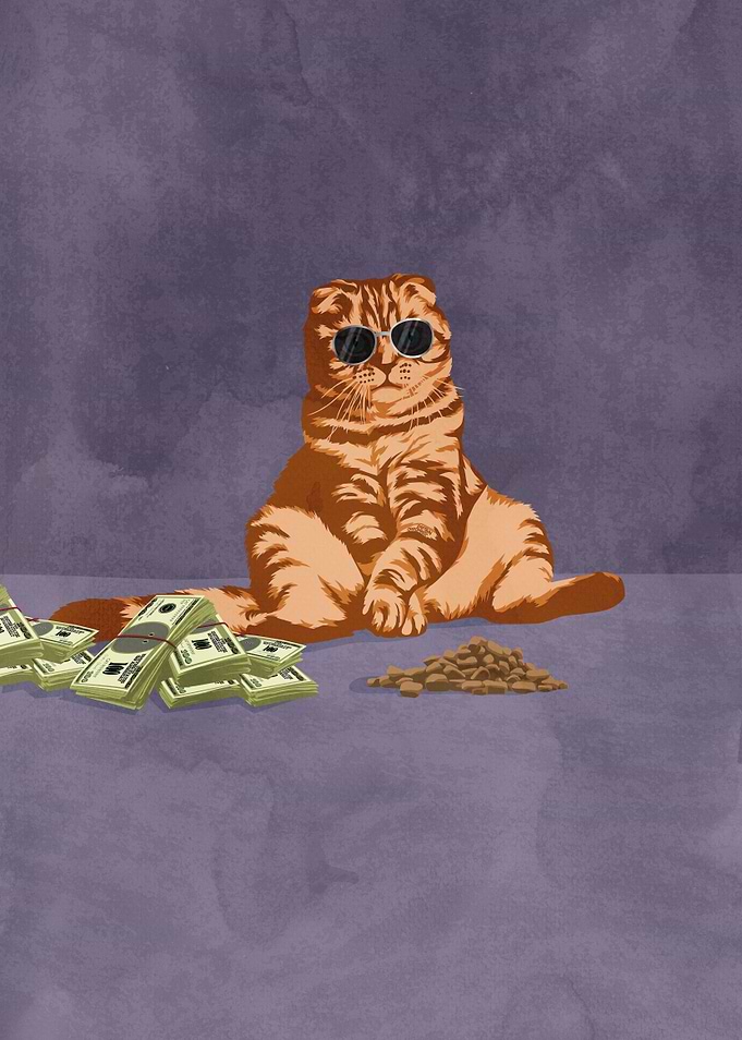 Orange cat dealing