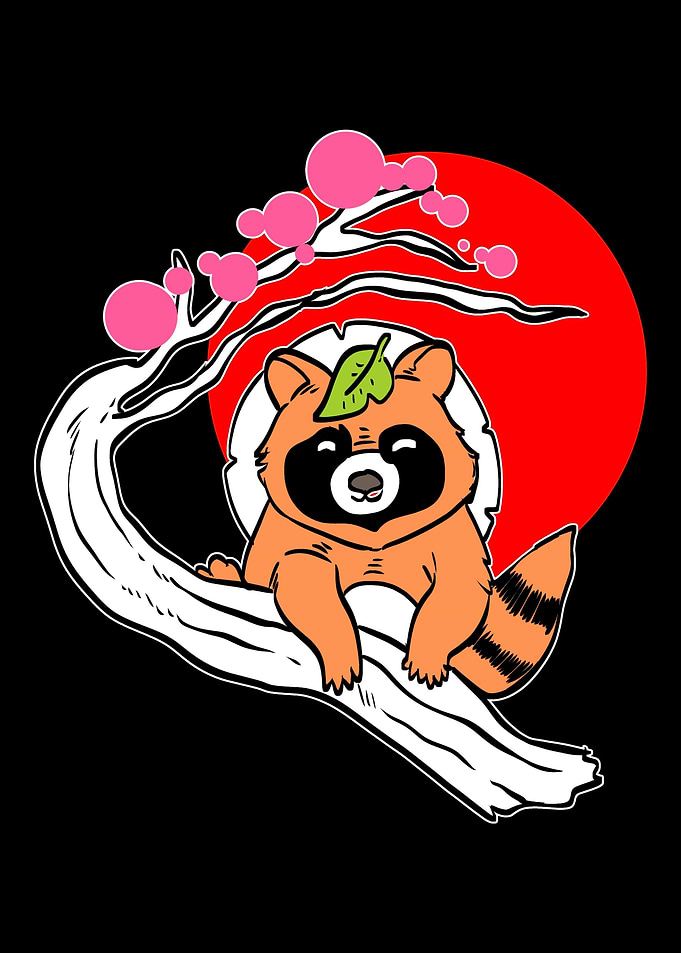 Japanese Racoon Asian and